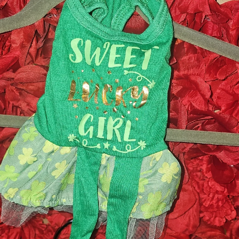 Festive Green Dog Dress with Shamrock Pattern Size Xsmall